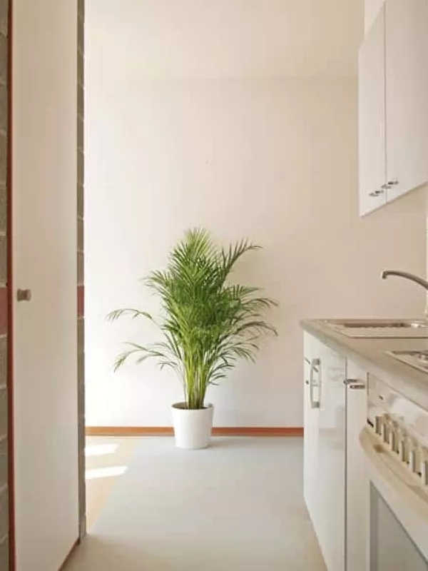 Appartement 2 pers.