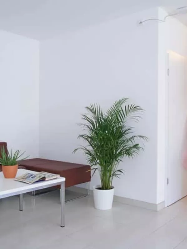 Chambre en colocation
