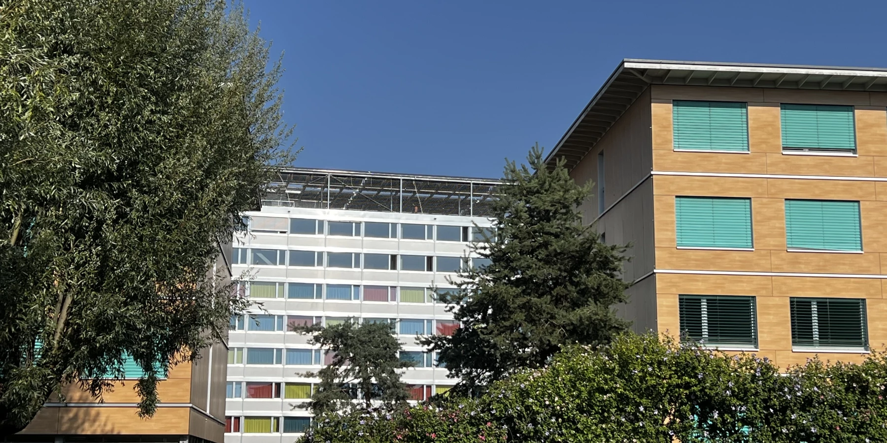 Neostar
