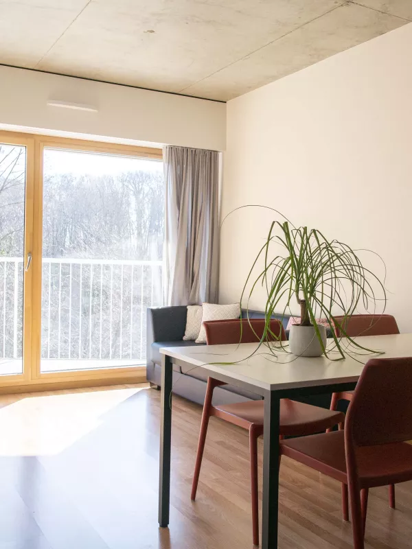 Chambre en colocation