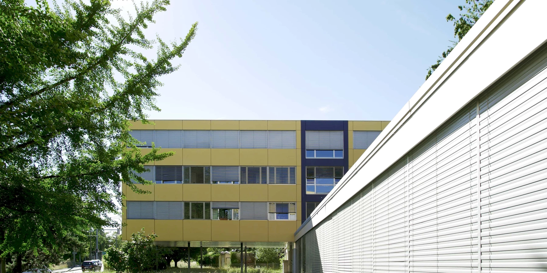 Rhodanie