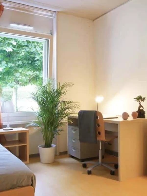 Room in shared flat