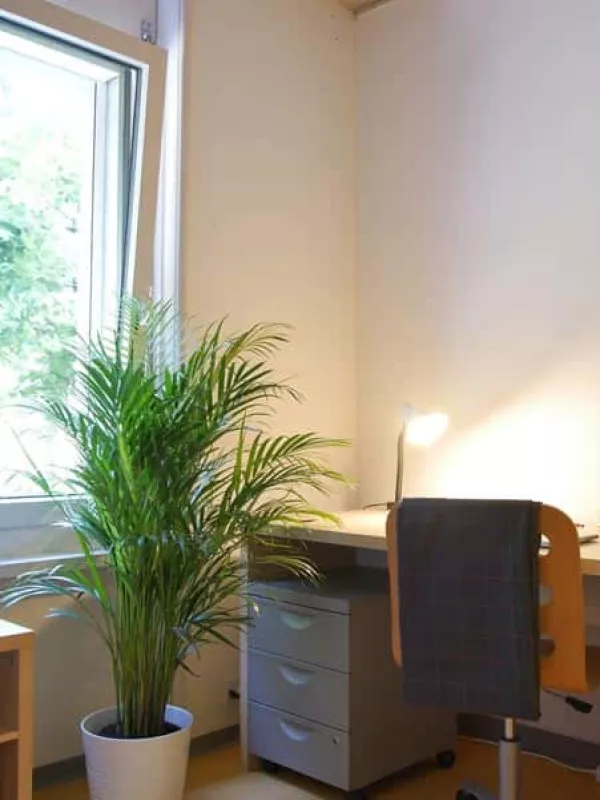 Room in shared flat